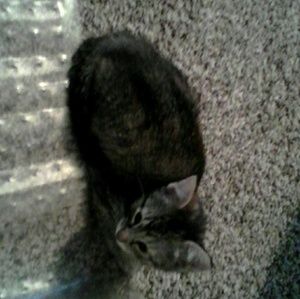 Meet your Posher, Michele